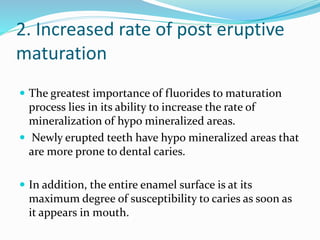 2. Increased rate of post eruptive
maturation
 The greatest importance of fluorides to maturation
process lies in its ability to increase the rate of
mineralization of hypo mineralized areas.
 Newly erupted teeth have hypo mineralized areas that
are more prone to dental caries.
 In addition, the entire enamel surface is at its
maximum degree of susceptibility to caries as soon as
it appears in mouth.
 