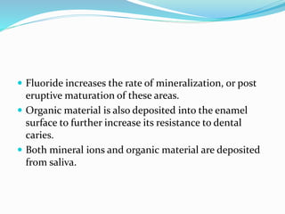  Fluoride increases the rate of mineralization, or post
eruptive maturation of these areas.
 Organic material is also deposited into the enamel
surface to further increase its resistance to dental
caries.
 Both mineral ions and organic material are deposited
from saliva.
 