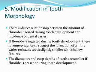 5. Modification in Tooth
Morphology
 There is direct relationship between the amount of
fluoride ingested during tooth development and
incidence of dental caries.
 If fluoride is ingested during tooth development, there
is some evidence to suggest the formation of a more
caries resistant tooth slightly smaller with shallow
fissures.
 The diameters and cusp depths of teeth are smaller if
fluoride is present during tooth development.
 