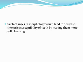  Such changes in morphology would tend to decrease
the caries susceptibility of teeth by making them more
self cleansing.
 