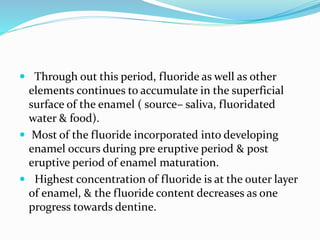  Through out this period, fluoride as well as other
elements continues to accumulate in the superficial
surface of the enamel ( source– saliva, fluoridated
water & food).
 Most of the fluoride incorporated into developing
enamel occurs during pre eruptive period & post
eruptive period of enamel maturation.
 Highest concentration of fluoride is at the outer layer
of enamel, & the fluoride content decreases as one
progress towards dentine.
 