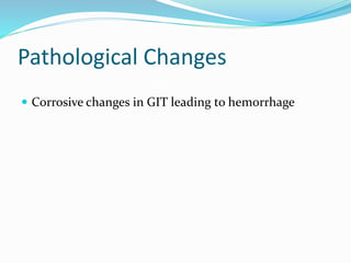 Pathological Changes
 Corrosive changes in GIT leading to hemorrhage
 