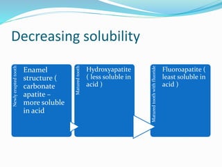 Decreasing solubility
Newly
erupted
tooth
Enamel
structure (
carbonate
apatite –
more soluble
in acid
Matured
tooth
Hydroxyapatite
( less soluble in
acid )
Matured
tooth
with
fluoride
Fluoroapatite (
least soluble in
acid )
 