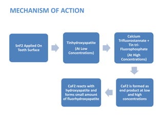 MECHANISM OF ACTION
SnF2 Applied On
Teeth Surface
Tinhydroxyapatite
(At Low
Concentrations)
Calcium
Trifluorostannate +
Tin tri-
Fluorophosphate
(At High
Concentrations)
CaF2 is formed as
end product at low
and high
concentrations
CaF2 reacts with
hydroxyapatite and
forms small amount
of fluorhydroxyapatite
 