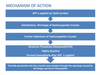 MECHANISM OF ACTION
Fluoride penetrates into the crystals more deeply through the openings caused by
shrinkage and forms Fluorapatite
Dicalcium Phosphate Dihydrate(DCPD)
-Highly Reactive
Formed immediately after APF is applied
Further Hydrolysis of Hydroxyapatite Crystals
Dehydration, Shrinkage of Hydroxyapatite Crystals
APF is applied on Teeth Surface
 