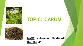 TOPIC: CARUM
NAME: Muhammad Haider Ali
Roll No: 43
 