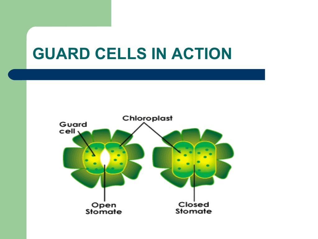 Topic feedback mechanism