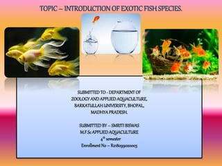 TOPIC– INTRODUCTIONOF EXOTICFISH SPECIES.
SUBMITTEDTO - DEPARTMENTOF
ZOOLOGYANDAPPLIEDAQUACULTURE,
BARKATULLAHUNIVERSITY,BHOPAL,
MADHYAPRADESH.
SUBMITTEDBY – SMRITIBISWAS
M.F.ScAPPLIEDAQUACULTURE
4th semester
Enrollment No – R218099020003
 