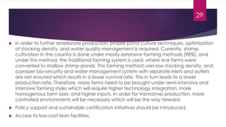  In order to further ameliorate production, proper pond culture techniques, optimization
of stocking density, and water quality management is required. Currently, shrimp
cultivation in the country is done under mostly extensive farming methods (98%), and
under this method, the traditional farming system is used, where rice farms were
converted to shallow shrimp ponds. This farming method uses low stocking density, and
a proper bio-security and water management system with separate inlets and outlets
are not ensured which results in a lower survival rate. This in turn leads to a lower
production rate. Therefore, more farms need to be brought under semi-intensive and
intensive farming styles which will require higher technology integration, more
homogenous farm sizes, and higher inputs. In order for Vannamei production, more
controlled environments will be necessary which will be the way forward.
 Policy support and sustainable certification initiatives should be introduced.
 Access to low-cost loan facilities.
29
 