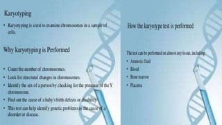 Topic karyotype | PPTX