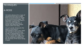 TECHNIQUES:
A-MODE
A mode ultrasound is a type of
ultrasound that uses a single
beam of sound waves to create
a one-dimensional image. This
technique is commonly used in
veterinary radiology for
measuring the thickness of
tissues and detecting foreign
objects within the body.
In an A mode ultrasound, the
depth of the tissue is
represented on the y-axis, while
the strength of the returning
echoes is represented on the x-
axis. The resulting image is a
series of peaks and valleys that
can be analyzed to determine
the thickness of the tissue being
imaged.
 