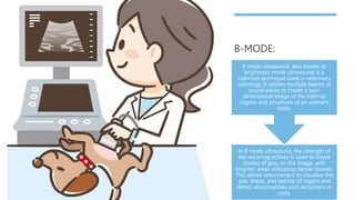 B-MODE:
In B mode ultrasound, the strength of
the returning echoes is used to create
shades of gray on the image, with
brighter areas indicating denser tissues.
This allows veterinarians to visualize the
size, shape, and texture of organs and
detect abnormalities such as tumors or
cysts.
B mode ultrasound, also known as
brightness mode ultrasound, is a
common technique used in veterinary
radiology. It utilizes multiple beams of
sound waves to create a two-
dimensional image of the internal
organs and structures of an animal's
body.
 
