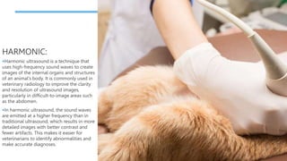 HARMONIC:
Harmonic ultrasound is a technique that
uses high-frequency sound waves to create
images of the internal organs and structures
of an animal's body. It is commonly used in
veterinary radiology to improve the clarity
and resolution of ultrasound images,
particularly in difficult-to-image areas such
as the abdomen.
In harmonic ultrasound, the sound waves
are emitted at a higher frequency than in
traditional ultrasound, which results in more
detailed images with better contrast and
fewer artifacts. This makes it easier for
veterinarians to identify abnormalities and
make accurate diagnoses.
 