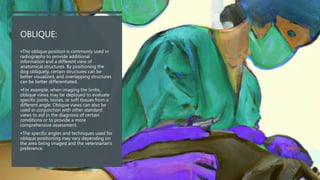 OBLIQUE:
The oblique position is commonly used in
radiography to provide additional
information and a different view of
anatomical structures. By positioning the
dog obliquely, certain structures can be
better visualized, and overlapping structures
can be better differentiated.
For example, when imaging the limbs,
oblique views may be deployed to evaluate
specific joints, bones, or soft tissues from a
different angle. Oblique views can also be
used in conjunction with other standard
views to aid in the diagnosis of certain
conditions or to provide a more
comprehensive assessment.
The specific angles and techniques used for
oblique positioning may vary depending on
the area being imaged and the veterinarian's
preference.
 