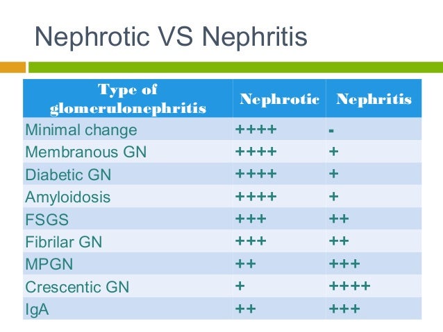 Nephrotic Syndrome Natural Treatment Nephrotic Syndrome Natural Treatment