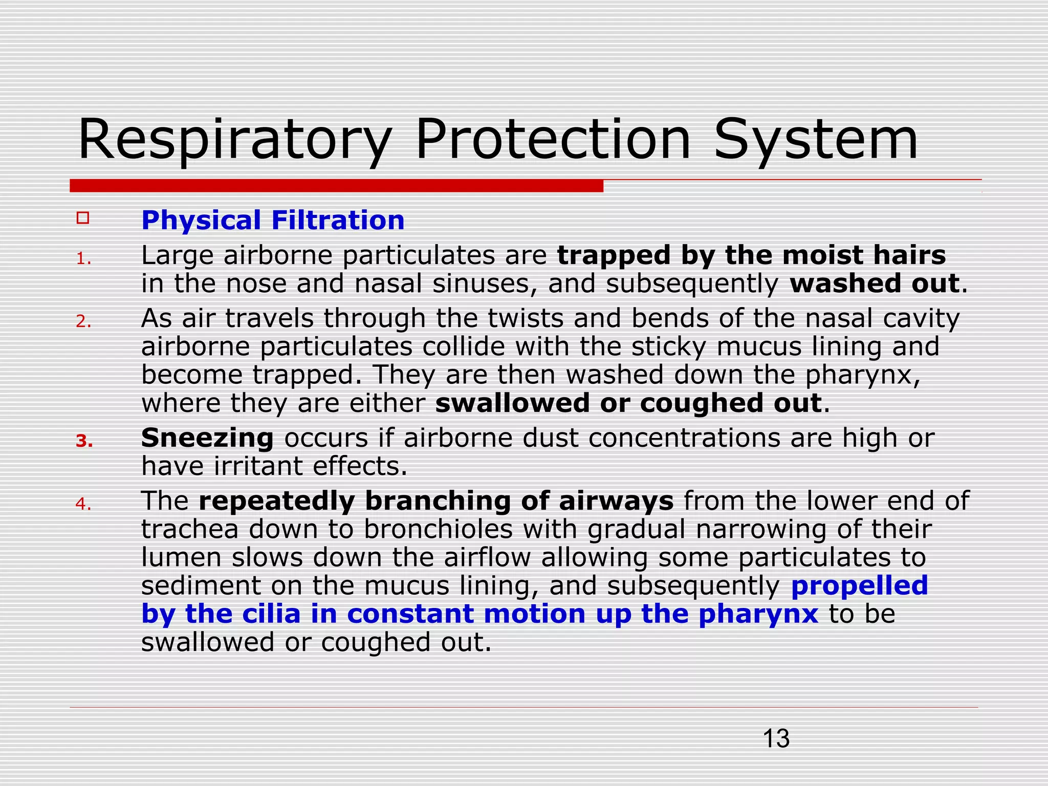 13
Respiratory Protection System
 Physical Filtration
1. Large airborne particulates are trapped by the moist hairs
in the nose and nasal sinuses, and subsequently washed out.
2. As air travels through the twists and bends of the nasal cavity
airborne particulates collide with the sticky mucus lining and
become trapped. They are then washed down the pharynx,
where they are either swallowed or coughed out.
3. Sneezing occurs if airborne dust concentrations are high or
have irritant effects.
4. The repeatedly branching of airways from the lower end of
trachea down to bronchioles with gradual narrowing of their
lumen slows down the airflow allowing some particulates to
sediment on the mucus lining, and subsequently propelled
by the cilia in constant motion up the pharynx to be
swallowed or coughed out.
 