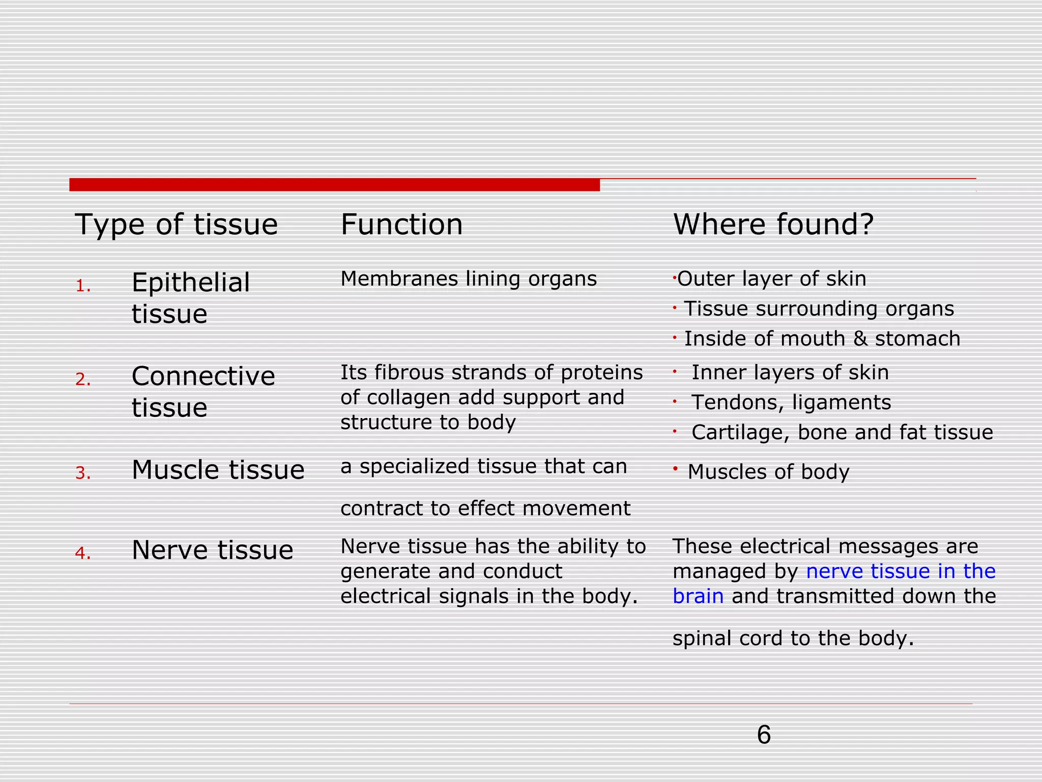 6
Type of tissue Function Where found?
1. Epithelial
tissue
Membranes lining organs •Outer layer of skin
• Tissue surrounding organs
• Inside of mouth & stomach
2. Connective
tissue
Its fibrous strands of proteins
of collagen add support and
structure to body
• Inner layers of skin
• Tendons, ligaments
• Cartilage, bone and fat tissue
3. Muscle tissue a specialized tissue that can
contract to effect movement
• Muscles of body
4. Nerve tissue Nerve tissue has the ability to
generate and conduct
electrical signals in the body.
These electrical messages are
managed by nerve tissue in the
brain and transmitted down the
spinal cord to the body.
 