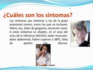Los síntomas son similares a los de la gripe
estacional común, entre los que se incluyen:
fiebre, tos, dolor de garganta, secreción nasal.
A estos síntomas se añaden, en el caso del
virus de la influenza A(H1N1): dolor muscular,
dolor abdominal, fiebre superior a 38ºC, falta
de apetito y/o diarrea.
 