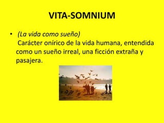 VITA-SOMNIUM(La vida como sueño)Carácter onírico de la vida humana, entendida como un sueño irreal, una ficción extraña y pasajera.