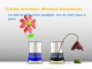 Cotidie morimus/ Morimos diariamente
 La vida es vista como pasajera, vivir es morir poco a
 poco.
 