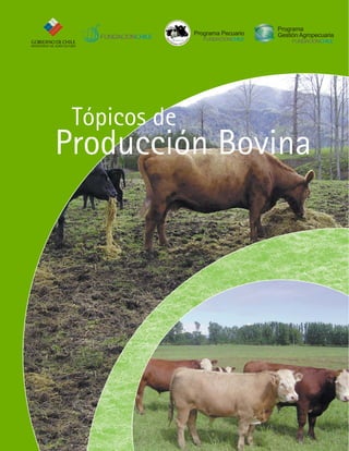 Producción Bovina
Tópicos de
MINISTERIO DE AGRICULTURA
Programa
Gestión AgropecuariaPrograma Pecuario
 