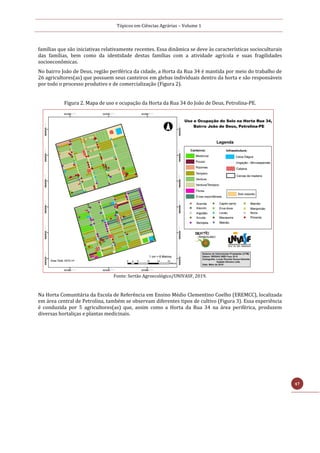 Tópicos em Ciências Agrárias – Volume 1
47
famílias que são iniciativas relativamente recentes. Essa dinâmica se deve às características socioculturais
das famílias, bem como da identidade destas famílias com a atividade agrícola e suas fragilidades
socioeconômicas.
No bairro João de Deus, região periférica da cidade, a Horta da Rua 34 é mantida por meio do trabalho de
26 agricultores(as) que possuem seus canteiros em glebas individuais dentro da horta e são responsáveis
por todo o processo produtivo e de comercialização (Figura 2).
Figura 2. Mapa de uso e ocupação da Horta da Rua 34 do João de Deus, Petrolina-PE.
Fonte: Sertão Agroecológico/UNIVASF, 2019.
Na Horta Comunitária da Escola de Referência em Ensino Médio Clementino Coelho (EREMCC), localizada
em área central de Petrolina, também se observam diferentes tipos de cultivo (Figura 3). Essa experiência
é conduzida por 5 agricultores(as) que, assim como a Horta da Rua 34 na área periférica, produzem
diversas hortaliças e plantas medicinais.
 
