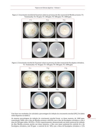Tópicos em Ciências Agrárias – Volume 1
80
Figura 1. Crescimento micelial de Fusarium solani na presença do óleo essencial de Mentha arvensis. T1:
Testemunha; T2: 50 ppm; T3: 100 ppm; T4: 500 ppm; T5: 1000 ppm.
Figura 2. Crescimento micelial de Fusarium solani na presença do óleo essencial de Eucalyptus citriodora.
T1: Testemunha; T2: 50 ppm; T3: 100 ppm; T4: 500 ppm; T5: 1000 ppm.
Com base nos resultados, foi calculada a porcentagem de inibição do crescimento micelial (PIC). Os dados
estão dispostos na tabela 2.
As maiores porcentagens de inibição do crescimento micelial foram as doses maiores, de 1000 ppm,
controlando 100% com o óleo de Mentha arvensis e 60,93% com o óleo de Eucalyptus citriodora e com a
dose de 500 ppm inibiu 82,93% e 37,6% respectivamente, demonstrando um maior potencial de inibição
do óleo Mentha arvensis, porém nas doses menores, o óleo com maior potencial de controle foi o de
Eucalyptus citriodora, com 50 ppm o controle foi de 50% com o óleos de Eucalyptus citriodora e 11%
 