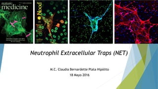 M.C. Claudia Bernardette Plata Hipólito
18 Mayo 2016
Neutrophil Extracellular Traps (NET)
 