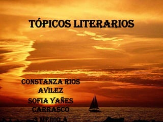 Tópicos Literarios Constanza Rios Avilez Sofia Yañes Carrasco 3 Medio A 07-10-2011 