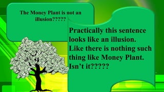 Practically this sentence
looks like an illusion.
Like there is nothing such
thing like Money Plant.
Isn’t it?????
 