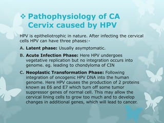  Pathophysiology of CA
Cervix caused by HPV
HPV is epitheliotrophic in nature. After infecting the cervical
cells HPV can have three phases:-
A. Latent phase: Usually asymptomatic.
B. Acute Infection Phase: Here HPV undergoes
vegetative replication but no integration occurs into
genome. eg. leading to chondyloma of CIN
C. Neoplastic Transformation Phase: Following
integration of oncogenic HPV DNA into the human
genome. Here HPV causes the production of 2 proteins
known as E6 and E7 which turn off some tumor
suppressor genes of normal cell. This may allow the
cervical lining cells to grow too much and to develop
changes in additional genes, which will lead to cancer.
 
