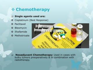  Chemotherapy
 Single agents used are:
 Cisplatinum (Best Response)
 Paclitaxel
 Bleomycin
 Ifosfamide
 Methotrixate
 Neoadjuvant Chemotherapy: Used in cases with
bulky tumors preoperatively & in combination with
radiotherapy.
 