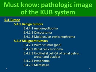 Must know: pathologic image
of the KUB system
5.4 Tumor
5.4.1 Benign tumors
5.4.4.1 Angiomyolipoma
5.4.1.2 Oncocytoma
5.4.1.3 Multilocular cystic nephroma
5.4.2 Malignant tumors
5.4.2.1 Wilm's tumor (ped)
5.4.2.2 Renal cell carcinoma
5.4.2.3 Urothelial cell CA of renal pelvis,
ureter and bladder
5.4.2.4 Lymphoma
5.4.2.5 Metastasis
 