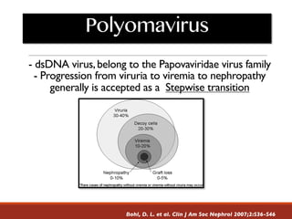 Bohl, D. L. et al. Clin J Am Soc Nephrol 2007;2:S36-S46
- dsDNA virus,belong to the Papovaviridae virus family
- Progression from viruria to viremia to nephropathy
generally is accepted as a Stepwise transition
Polyomavirus
 
