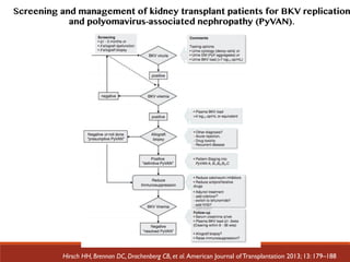 Screening and management of kidney transplant patients for BKV replication
and polyomavirus-associated nephropathy (PyVAN).
Hirsch HH, Brennan DC, Drachenberg CB, et al. American Journal of Transplantation 2013; 13: 179–188
 