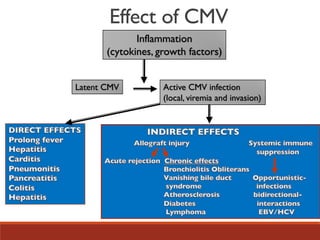 Effect of CMV
Inflammation
(cytokines, growth factors)
Latent CMV Active CMV infection
(local, viremia and invasion)
 