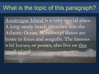 What is the topic of this paragraph?

Assateague Island is a very special place.
A long sandy beach stretches into the
Atlantic Ocean. Windswept dunes are
home to foxes and seagulls. The famous
wild horses, or ponies, also live on this
small island.
 