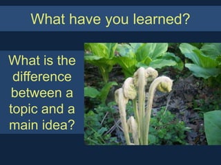 What have you learned?

What is the
 difference
between a
topic and a
main idea?
 