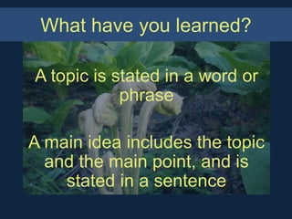What have you learned?

A topic is stated in a word or
            phrase

A main idea includes the topic
  and the main point, and is
    stated in a sentence
 