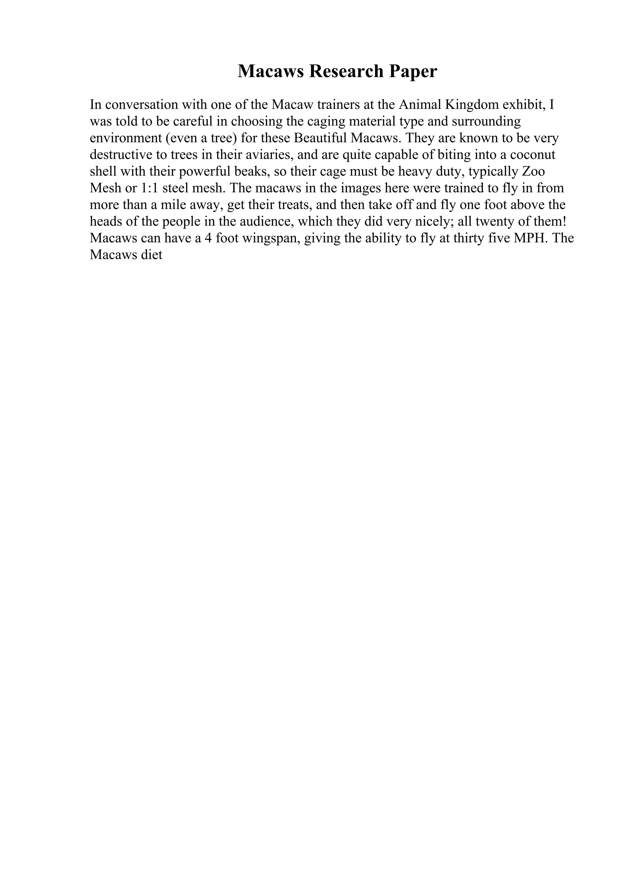 Macaws Research Paper
In conversation with one of the Macaw trainers at the Animal Kingdom exhibit, I
was told to be careful in choosing the caging material type and surrounding
environment (even a tree) for these Beautiful Macaws. They are known to be very
destructive to trees in their aviaries, and are quite capable of biting into a coconut
shell with their powerful beaks, so their cage must be heavy duty, typically Zoo
Mesh or 1:1 steel mesh. The macaws in the images here were trained to fly in from
more than a mile away, get their treats, and then take off and fly one foot above the
heads of the people in the audience, which they did very nicely; all twenty of them!
Macaws can have a 4 foot wingspan, giving the ability to fly at thirty five MPH. The
Macaws diet
 