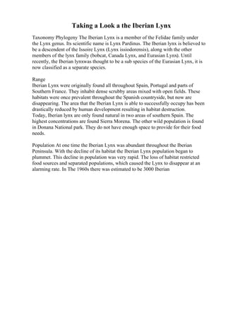 Taking a Look a the Iberian Lynx
Taxonomy Phylogeny The Iberian Lynx is a member of the Felidae family under
the Lynx genus. Its scientific name is Lynx Pardinus. The Iberian lynx is believed to
be a descendent of the Issoire Lynx (Lynx issiodorensis), along with the other
members of the lynx family (bobcat, Canada Lynx, and Eurasian Lynx). Until
recently, the Iberian lynxwas thought to be a sub species of the Eurasian Lynx, it is
now classified as a separate species.
Range
Iberian Lynx were originally found all throughout Spain, Portugal and parts of
Southern France. They inhabit dense scrubby areas mixed with open fields. These
habitats were once prevalent throughout the Spanish countryside, but now are
disappearing. The area that the Iberian Lynx is able to successfully occupy has been
drastically reduced by human development resulting in habitat destruction.
Today, Iberian lynx are only found natural in two areas of southern Spain. The
highest concentrations are found Sierra Morena. The other wild population is found
in Donana National park. They do not have enough space to provide for their food
needs.
Population At one time the Iberian Lynx was abundant throughout the Iberian
Peninsula. With the decline of its habitat the Iberian Lynx population began to
plummet. This decline in population was very rapid. The loss of habitat restricted
food sources and separated populations, which caused the Lynx to disappear at an
alarming rate. In The 1960s there was estimated to be 3000 Iberian
 