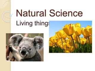 Natural Science
Living things.
 