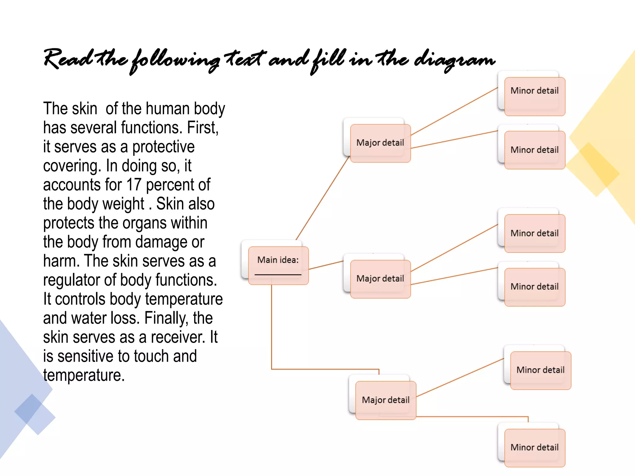Read the following text and fill in the diagram
The skin of the human body
has several functions. First,
it serves as a protective
covering. In doing so, it
accounts for 17 percent of
the body weight . Skin also
protects the organs within
the body from damage or
harm. The skin serves as a
regulator of body functions.
It controls body temperature
and water loss. Finally, the
skin serves as a receiver. It
is sensitive to touch and
temperature.
 