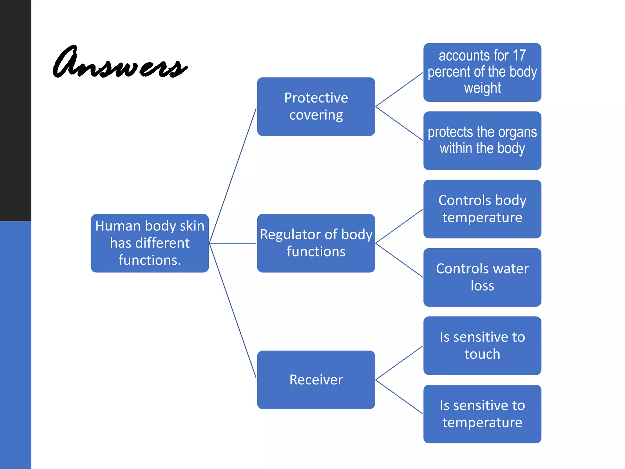Human body skin
has different
functions.
Protective
covering
accounts for 17
percent of the body
weight
protects the organs
within the body
Regulator of body
functions
Controls body
temperature
Controls water
loss
Receiver
Is sensitive to
touch
Is sensitive to
temperature
Answers
 