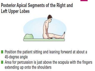 topic tracheobronchial tree upper airway.pptx