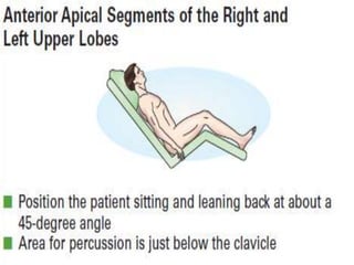 topic tracheobronchial tree upper airway.pptx