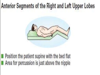 topic tracheobronchial tree upper airway.pptx