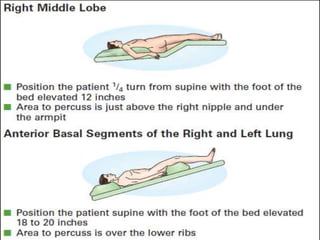 topic tracheobronchial tree upper airway.pptx