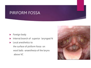 PIRIFORM FOSSA
 Foreign body
 Internal branch of superior laryngeal N
 Local anesthetics to
the surface of piriform fossa on
wool balls -anaesthesia of the larynx
above VC
 
