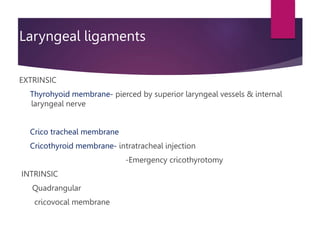 Laryngeal ligaments
EXTRINSIC
Thyrohyoid membrane- pierced by superior laryngeal vessels & internal
laryngeal nerve
Crico tracheal membrane
Cricothyroid membrane- intratracheal injection
-Emergency cricothyrotomy
INTRINSIC
Quadrangular
cricovocal membrane
 